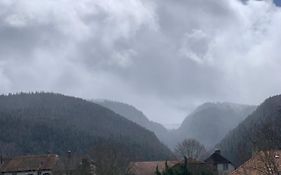 Chez Ninfa